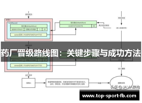 药厂晋级路线图：关键步骤与成功方法