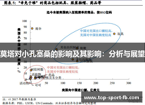 莫塔对小孔塞桑的影响及其影响:分析与展望 莫塔对小孔塞桑的影响及其影响:分析与展望