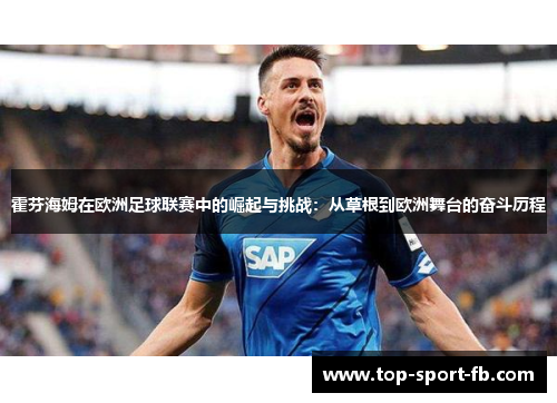 霍芬海姆在欧洲足球联赛中的崛起与挑战：从草根到欧洲舞台的奋斗历程
