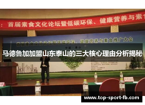 马德鲁加加盟山东泰山的三大核心理由分析揭秘